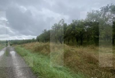 Teren de 5150 mp, în Simeria - 1