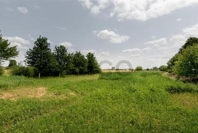 RECO Casa de Ineu - 3