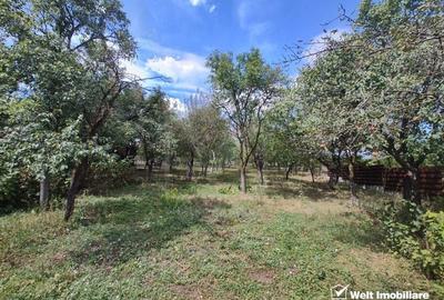 Casa veche, toate utilitatile, Pata, 5808 mp, tot intravilan, front 19,4m - 2