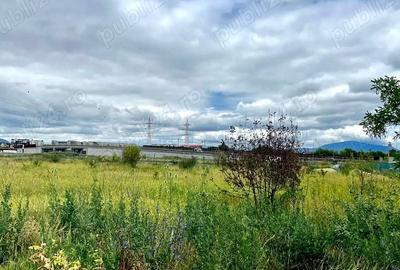 Teren Construcții intravilan de 3436 mp, în Sânpetru - 2