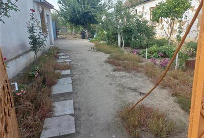 Casă cu 3 camere în Gaiu Mic - 8