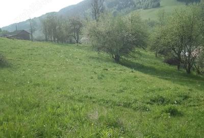 Spațiu comercial, în Vidra - 3