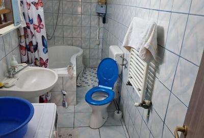 Tautii de Sus, casa caramida,7,5 ari teren - 6