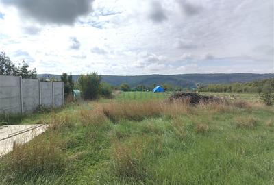 Teren Construcții intravilan de 3250 mp, în Betfia - 4