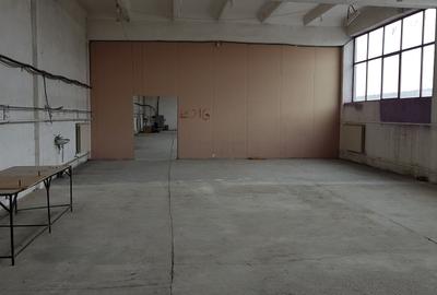 SC Vimak Imobiliare inchiriaza hala industriala - 5