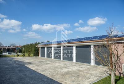 Vila,Piscina,teren fotbal,gradina,vegetatie - 16