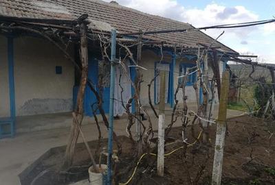 Casă cu 3 camere cu Teren 2500 Mp în Balabancea - 5