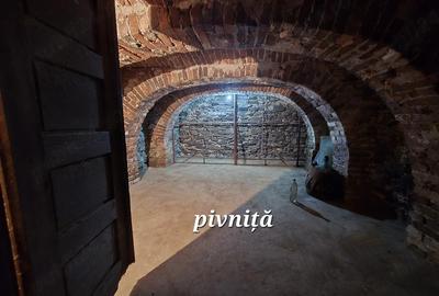 Casă cu 6 camere cu Teren 1000 Mp în Armeniș - 5