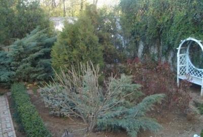 REV2005390 Vila 9 Camere I De Vanzare I Parcul Circului - 16