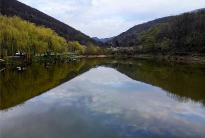 Oravita, Casa de Vacanta, PRET FIX, Zona Lacul Mare - 13