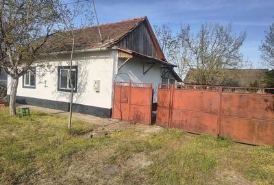 Casă cu Teren 1500 Mp în Tormac - 4