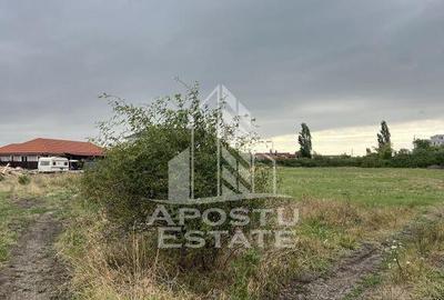 Teren de 707 mp, în Săcălaz