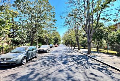 Teren Construcții intravilan de 8959 mp, în Central - 4