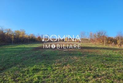 Teren Construcții intravilan de 11939 mp, în Bălănești - 4