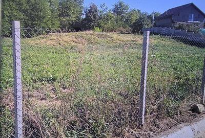 Teren de 2700 mp, în Plopu - 5