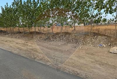 Teren 9400 mp Strada Gura solcii - 11