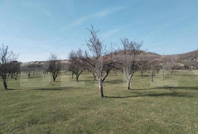 Teren intravilan cu suprafa?a de 9ha, Aninoasa - 14