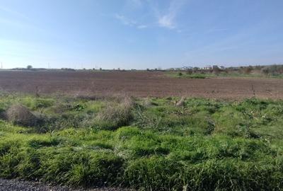 Teren Construcții intravilan de 5000 mp, în Exterior Nord - 6