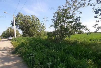 Teren de 5000 mp, în Copăceni