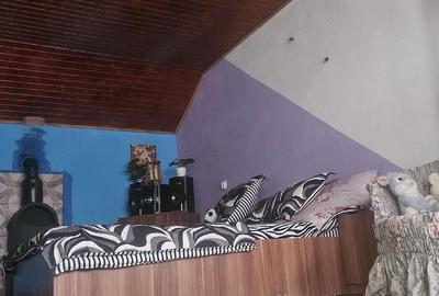 Casă cu Teren 3435 Mp în Peciu Nou - 5