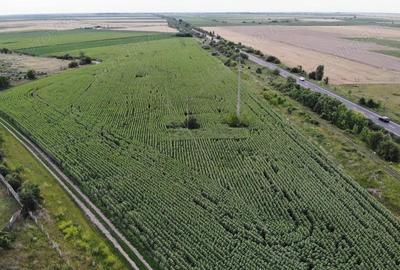 Teren de 18000 mp, în Becicherecu Mic - 3