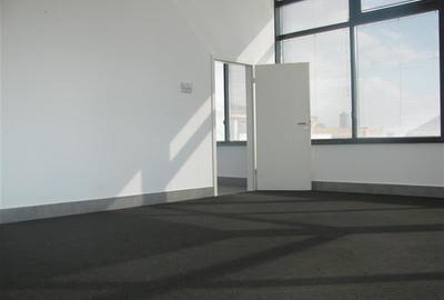 Inchirieri birouri in Biharia Office Building - 350 mp - 18