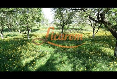 Casă individuală cu 6 camere decomandat cu Canalizare în Stupini - 17