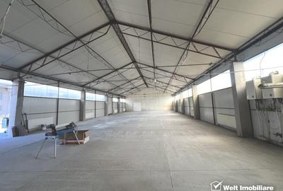 Spatiu depozit sau productie 416mp la rampa, zona industriala Someseni - 2