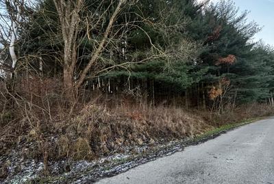 Teren intravilan, Florea- Bascov - idealimob.ro - 2