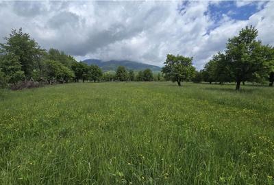 Teren de 1100 mp, în Prundu Bârgăului - 1