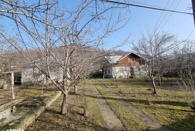 Casă cu 3 camere în Surani - 4