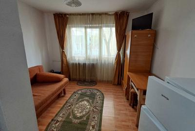 Garsonieră semidecomandată în Nicolina - 4