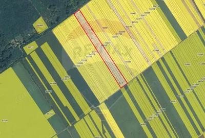 Teren de 3730 mp, în Buftea