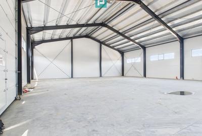 Hală industrială în zona Giarmata – Timiș - 2