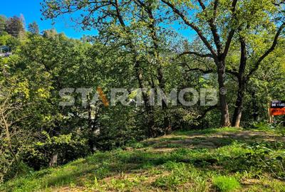 Teren intravilan zona Schei Brasov - 22