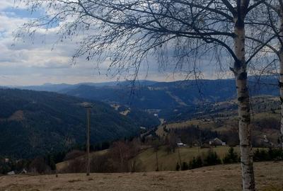 Spațiu comercial, în Horea - 4