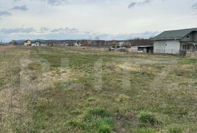 Teren intravilan cu toate utilitatile disponibile Dragomires - 5