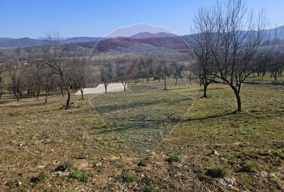 Teren agricol extravilan de 4627 mp, în Giulești - 2