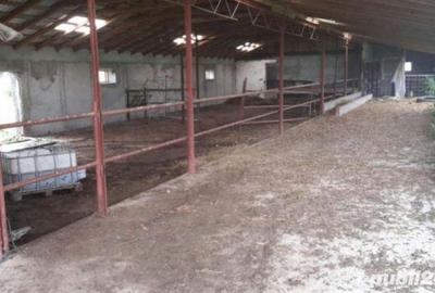 Spațiu comercial, de 1,200 mp, în Potlogi - 4