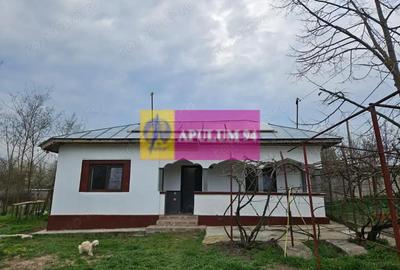 Casă cu 2 camere cu Teren 5000 Mp în Bucșani
