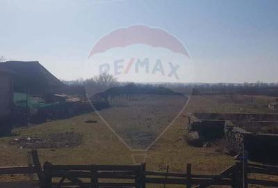 Teren 4,000mp Ilba - 2