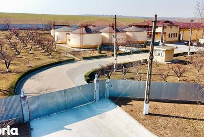 Spațiu comercial, de 2,800 mp, în Buciumeni - 7