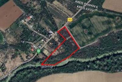 Spațiu comercial, în Ciolpani - 3