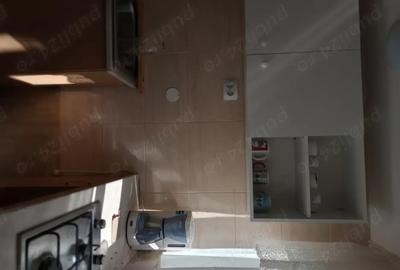 Casă cu 3 camere în Muntele Băișorii - 6