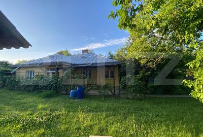 Casa solida de vanzare 120mp, 1840mp teren la strada principala Paun - 1