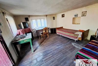 Casa de vanzare cu 46774 mp teren in zona Vintu de Jos - 10