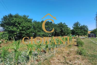 Teren intravilan de vanzare in Isalnita - 10