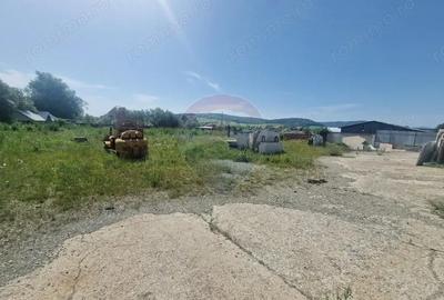 Spațiu comercial, de 290 mp, în Almaș - 9