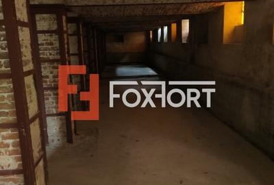 Spatii de inchiriat pentru birouri sau depozitare zona Iosefin - ID C5330 - 12