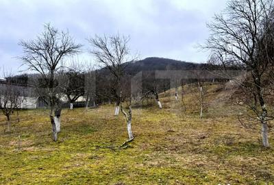 Teren în Stremț - 1